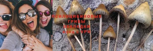 spice Володарск